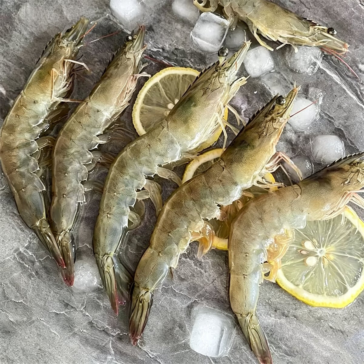 Frozen Whole Raw White Prawns